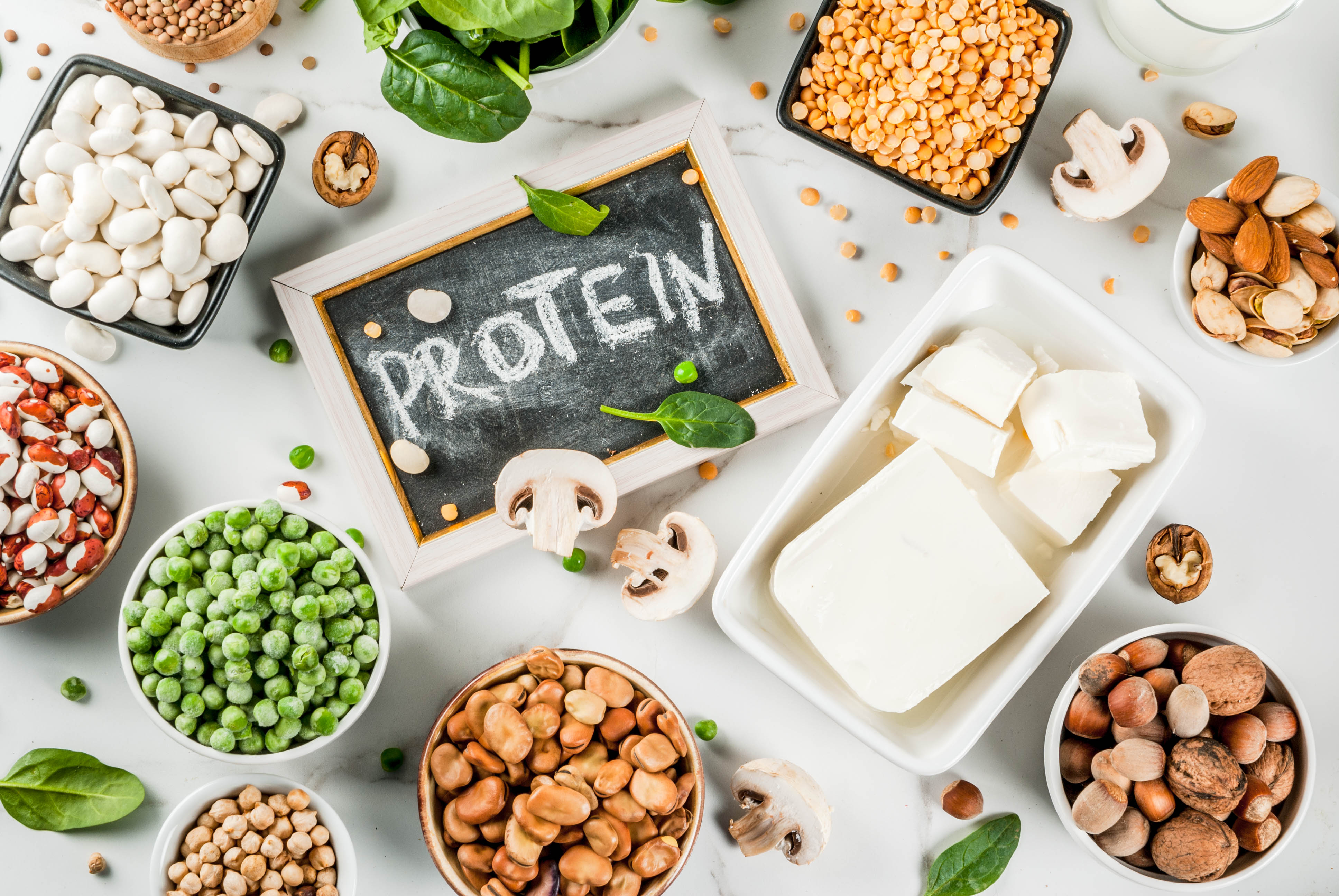Tavla med texten protein omringad av flera skålar med olika baljväxter