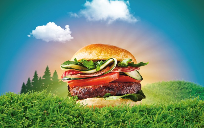 vegansk burgare med en idyllisk bakgrund