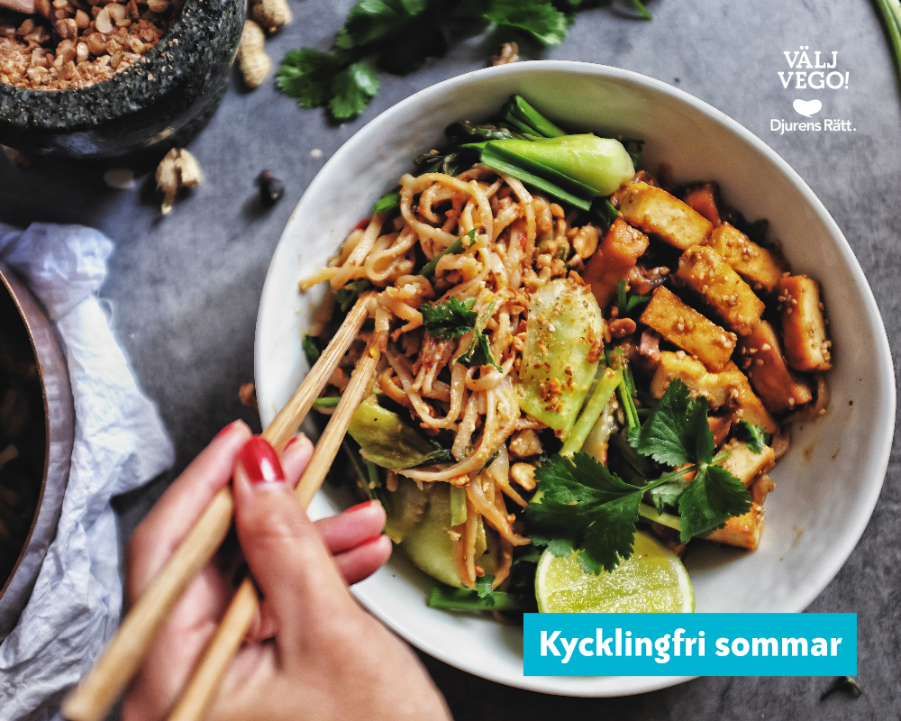 vegansk nudelsallad med vegobitar