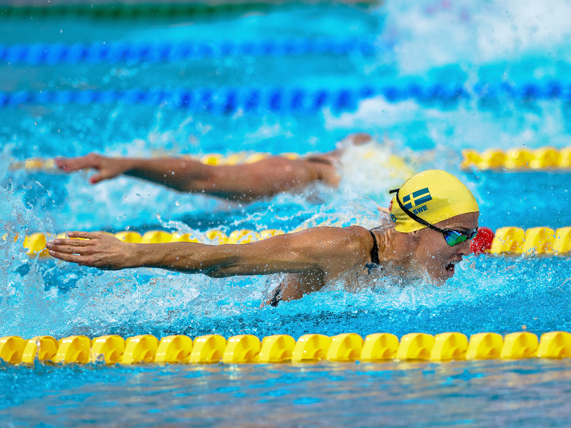 Foto: BrunoRosa/Shutterstock Simmaren Therese Alshammar i pool under simtävling.