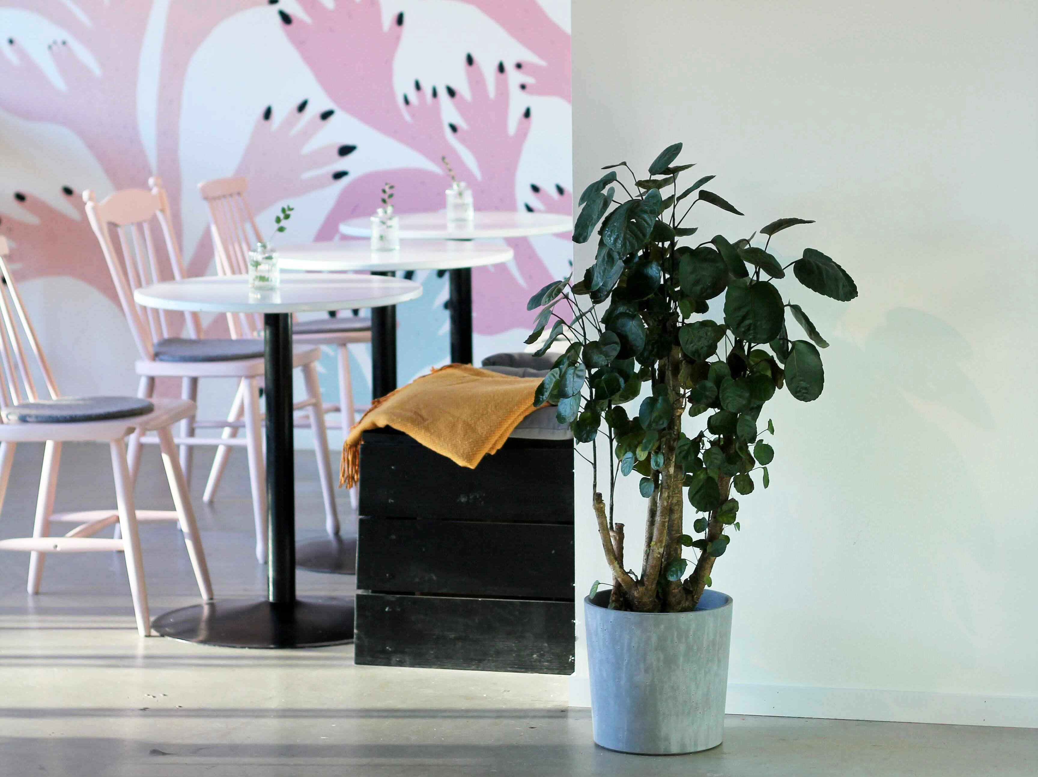 Foto: Slow Hands Café Inomhusmiljön på Slow Hands Café, men vägg målad av illustratören Cajsa Wessberg i bakgrunden.
