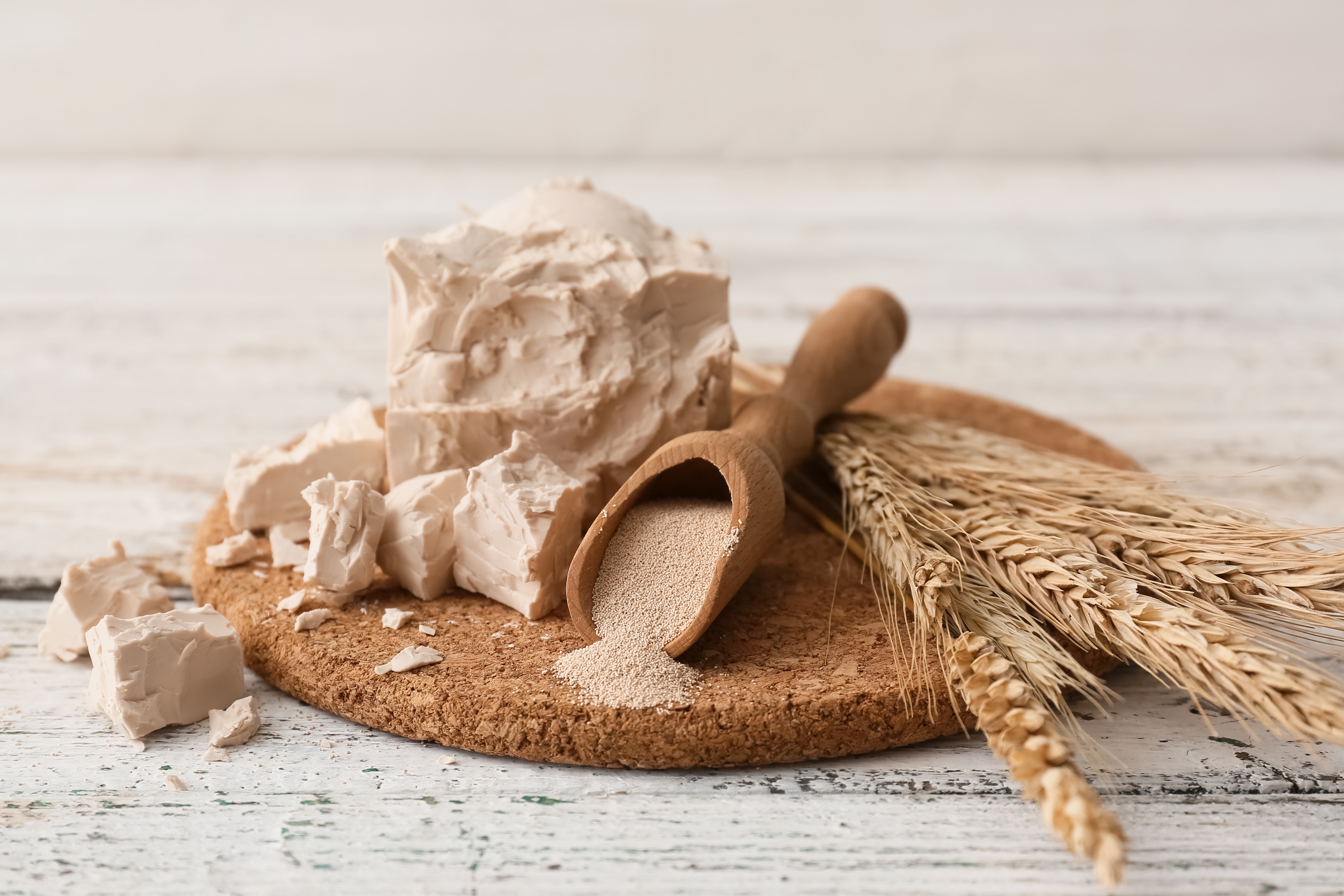 Foto: Pixel-Shot/Shutterstock Board with fresh and dry yeast on light wooden background