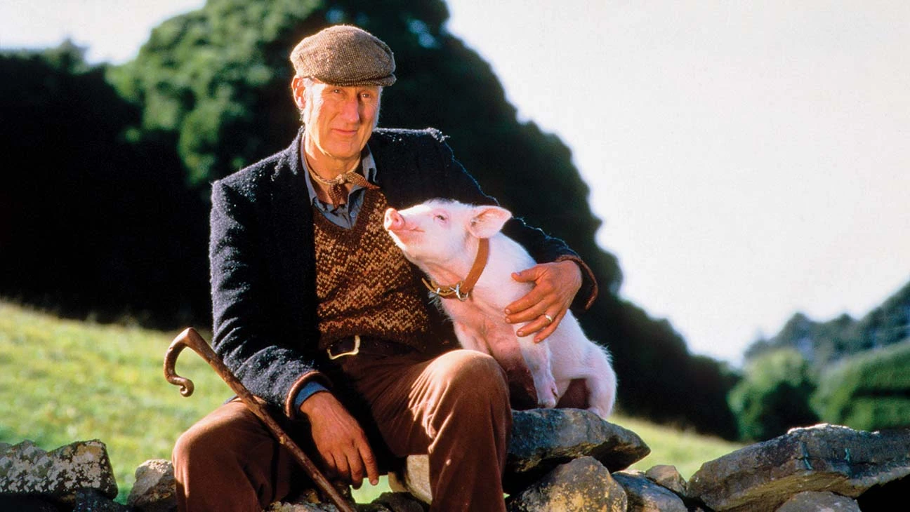 Foto: Babe (1995) Bonde som håller om en gris ut i naturen