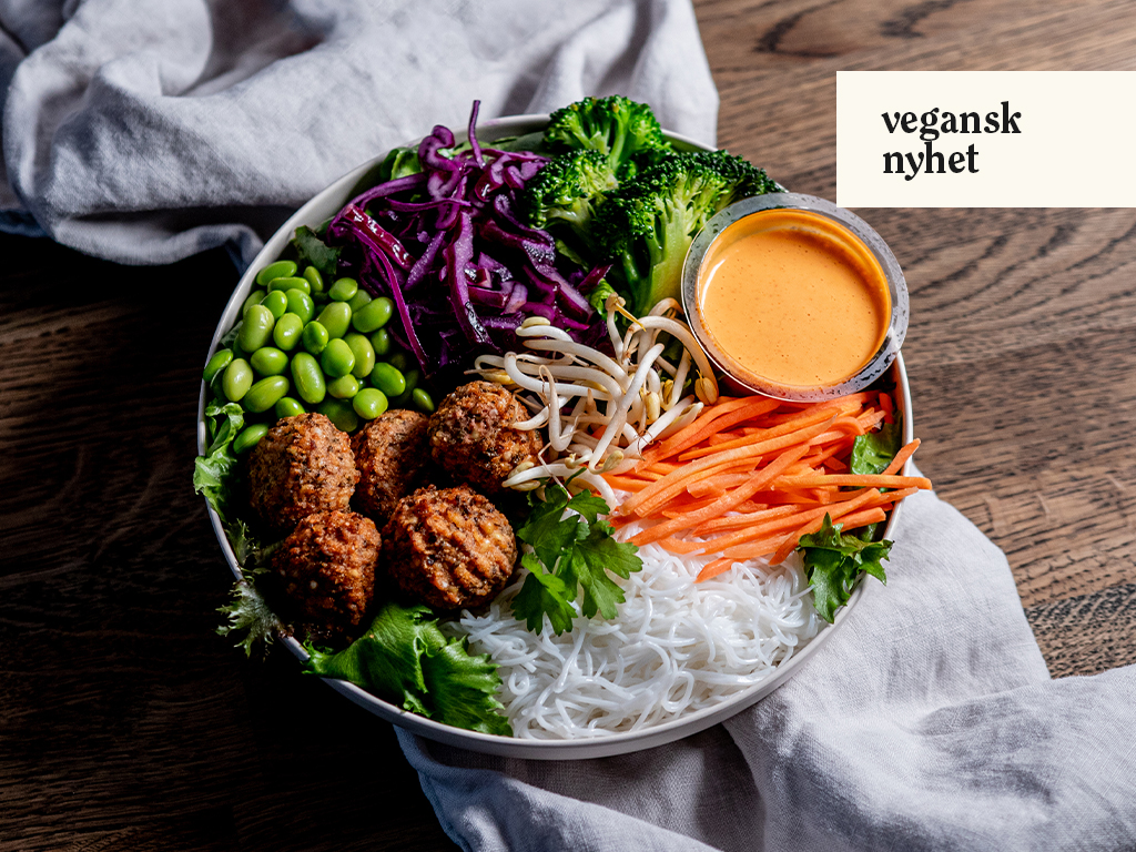 Produktfoto: Oh Mungood! En bild på en vegansk buddha bowl tagen uppifrån