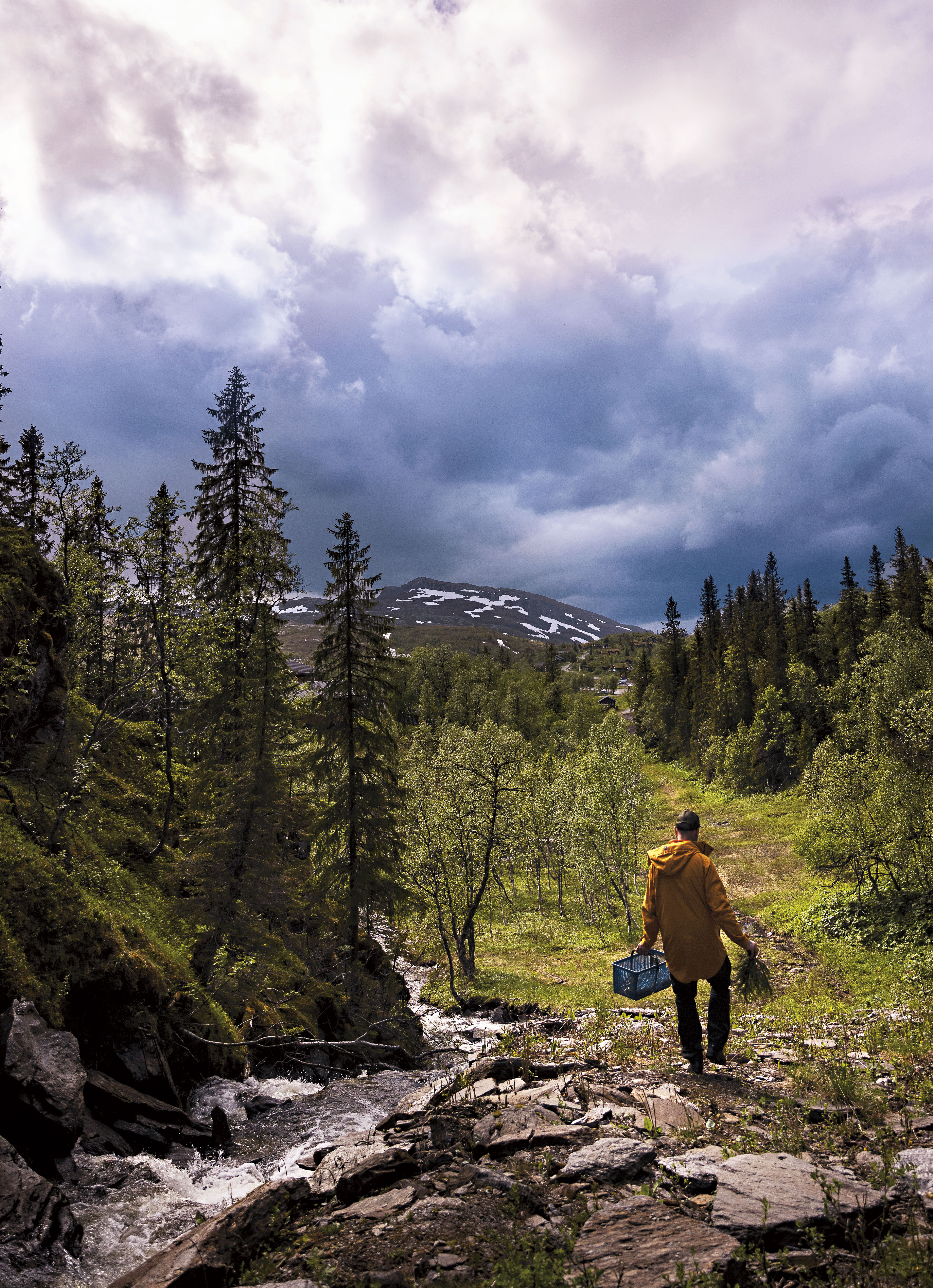Foto: Klas Sjöberg En man som går med en korg i handen i en skog
