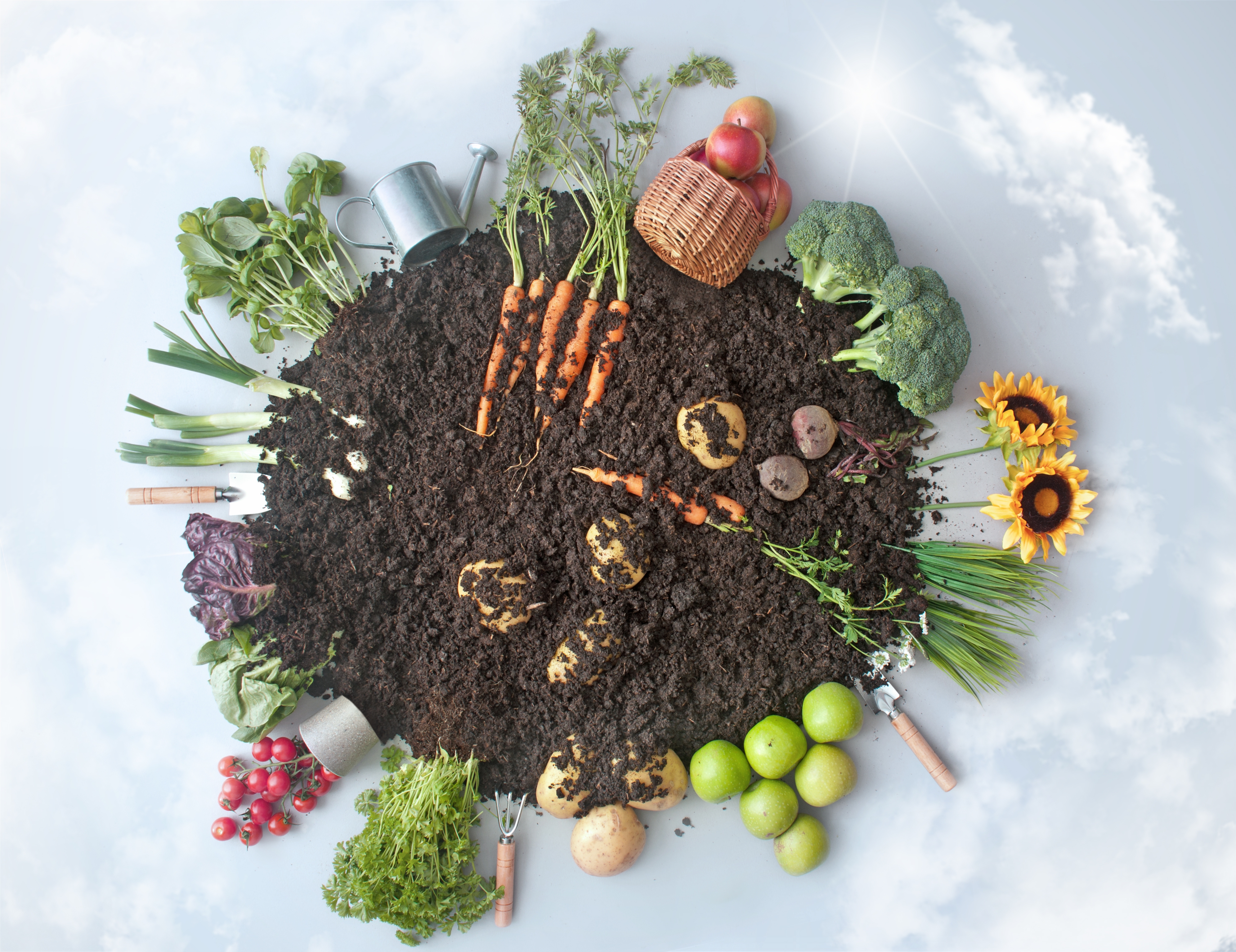 Organic fruits and vegetables growing in circular eco garden surrounded by blue sky