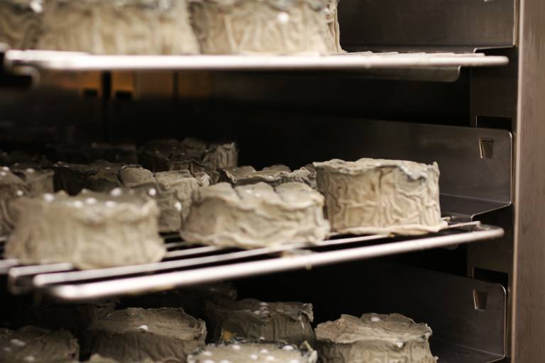Vegansk roquefort ost lagras 