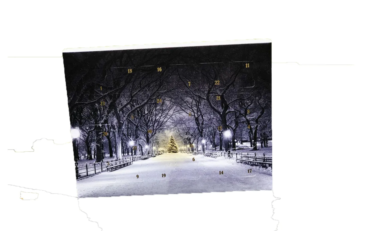 julkalender från Vegan delights