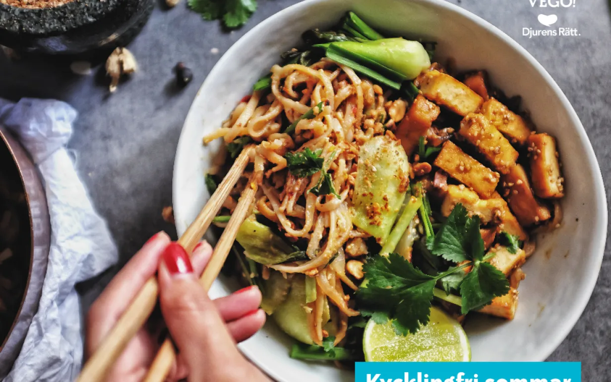 vegansk nudelsallad med vegobitar