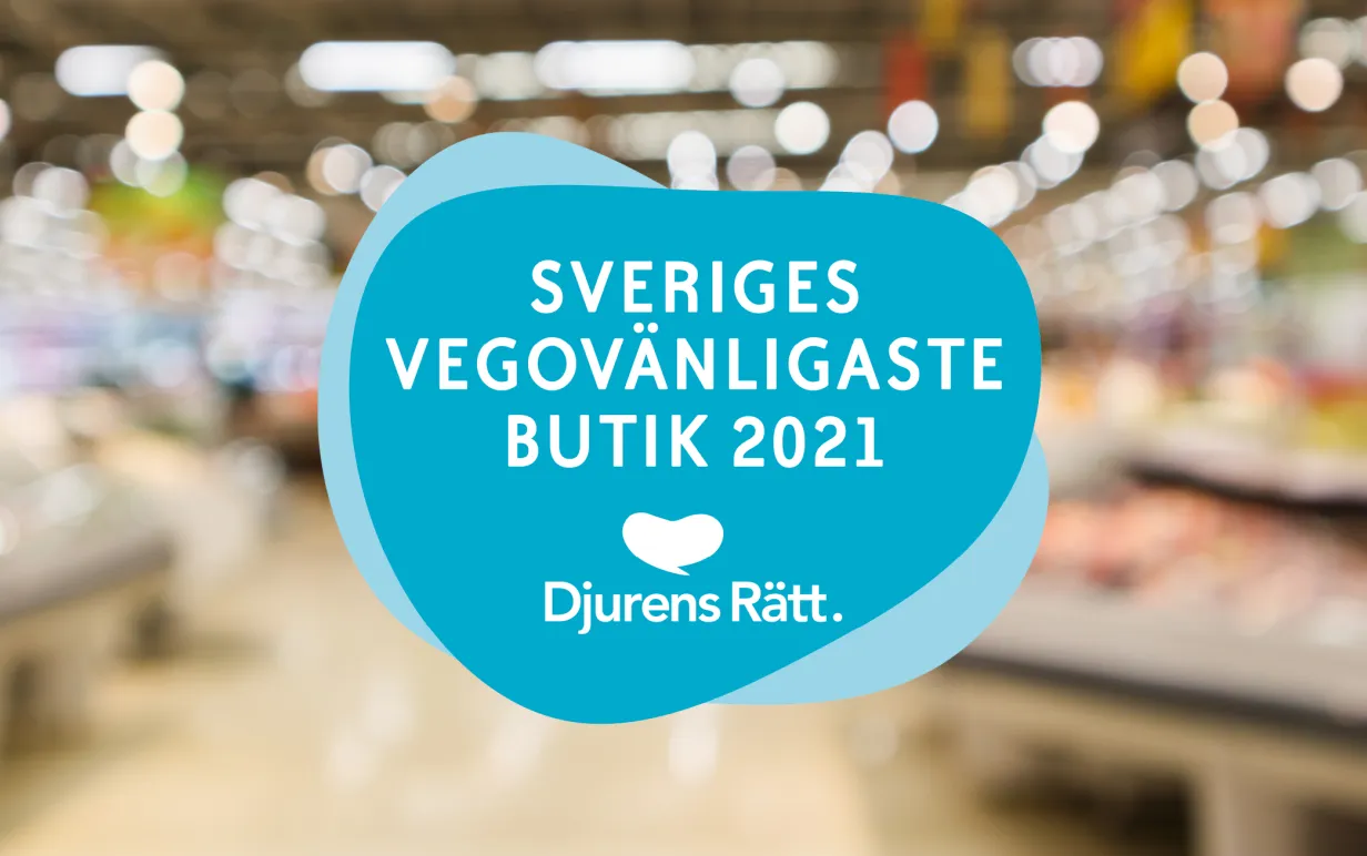 Blå dekal för Sveriges vegovänligaste butik, mot oskarp miljöbild från butik.