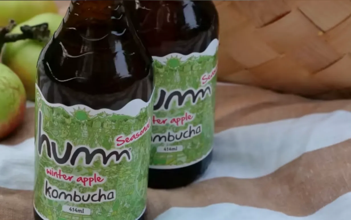 Två glasflaskor med kombutcha på en filt med en korg och äpplen i gakgrunden.