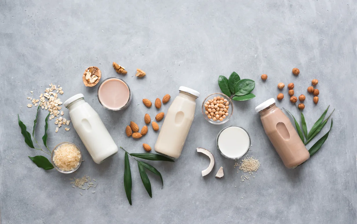 Olika vegansk växtbaserad mjölk och ingredienser, ovanifrån, kopiera utrymme. Mjölkfri mjölksubstitut dryck, hälsosam kost.