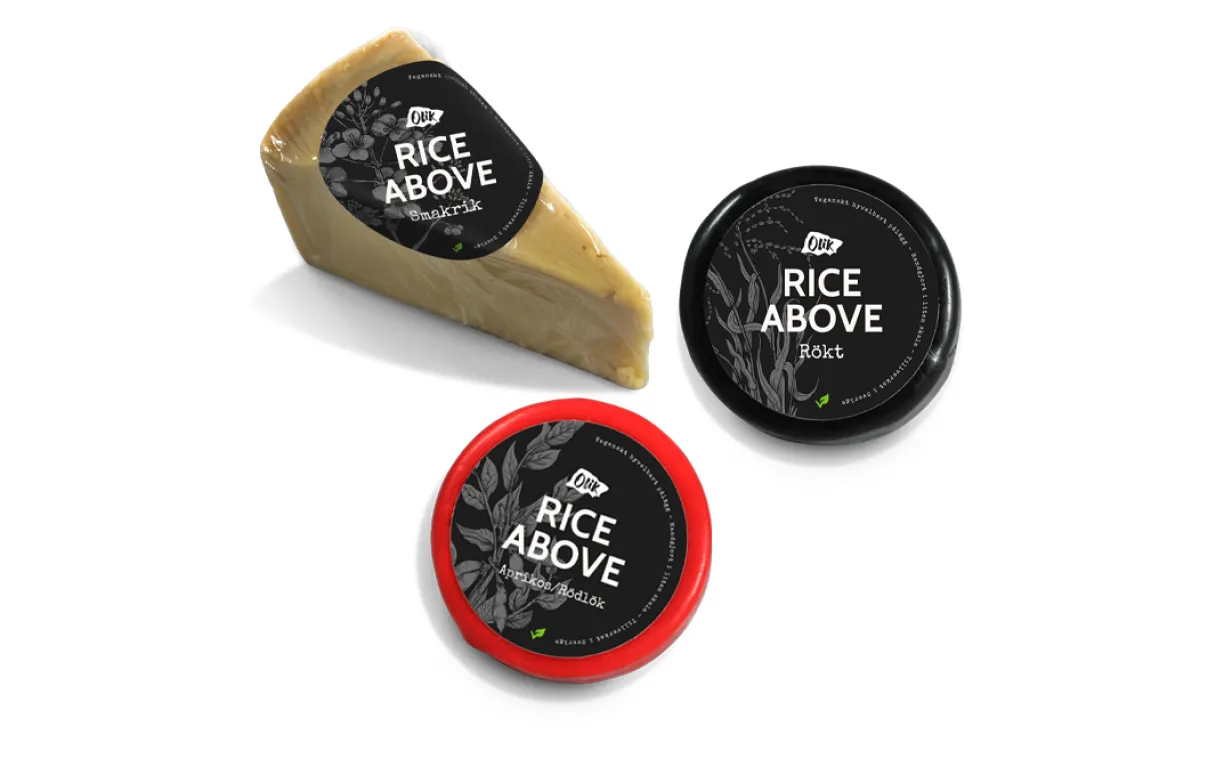 Tre veganska ostar uppradade mot en vit bakgrund