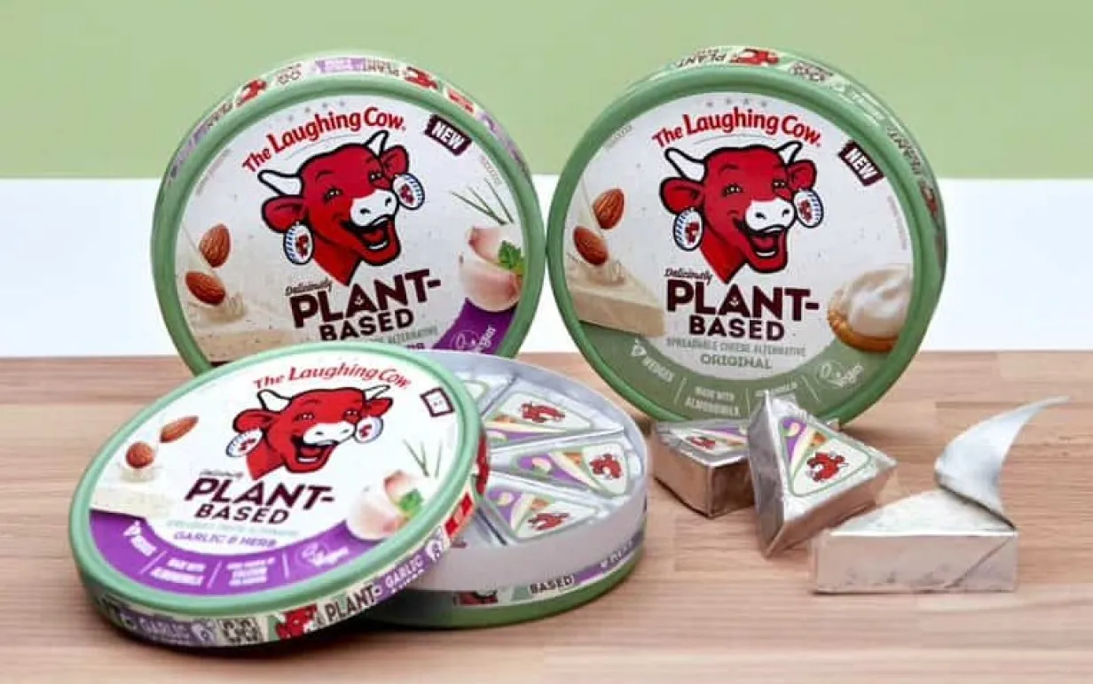 Tre hjul med vegansk mjukost i uppställda på ett träbord mot en ljusgrön vägg