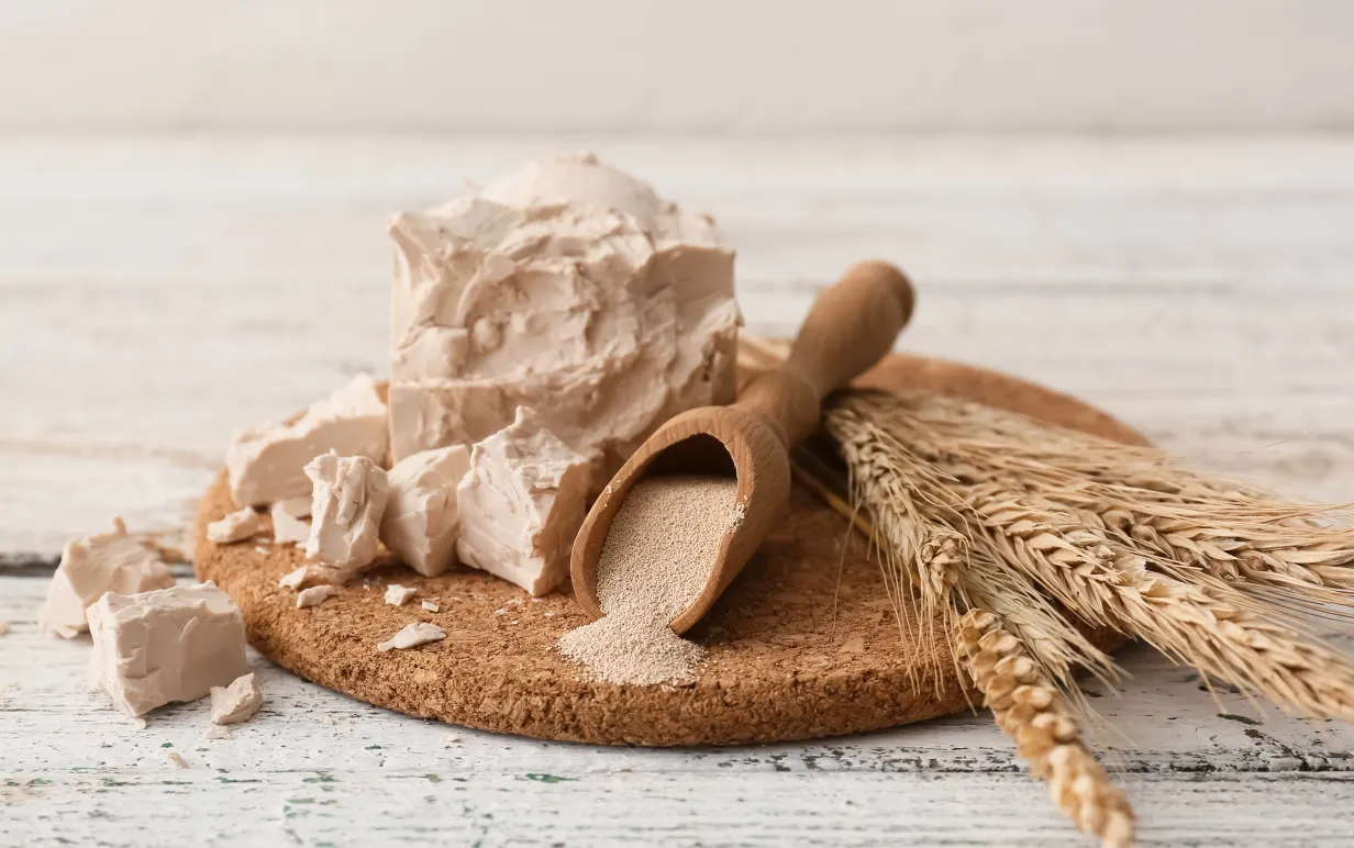 Board with fresh and dry yeast on light wooden background