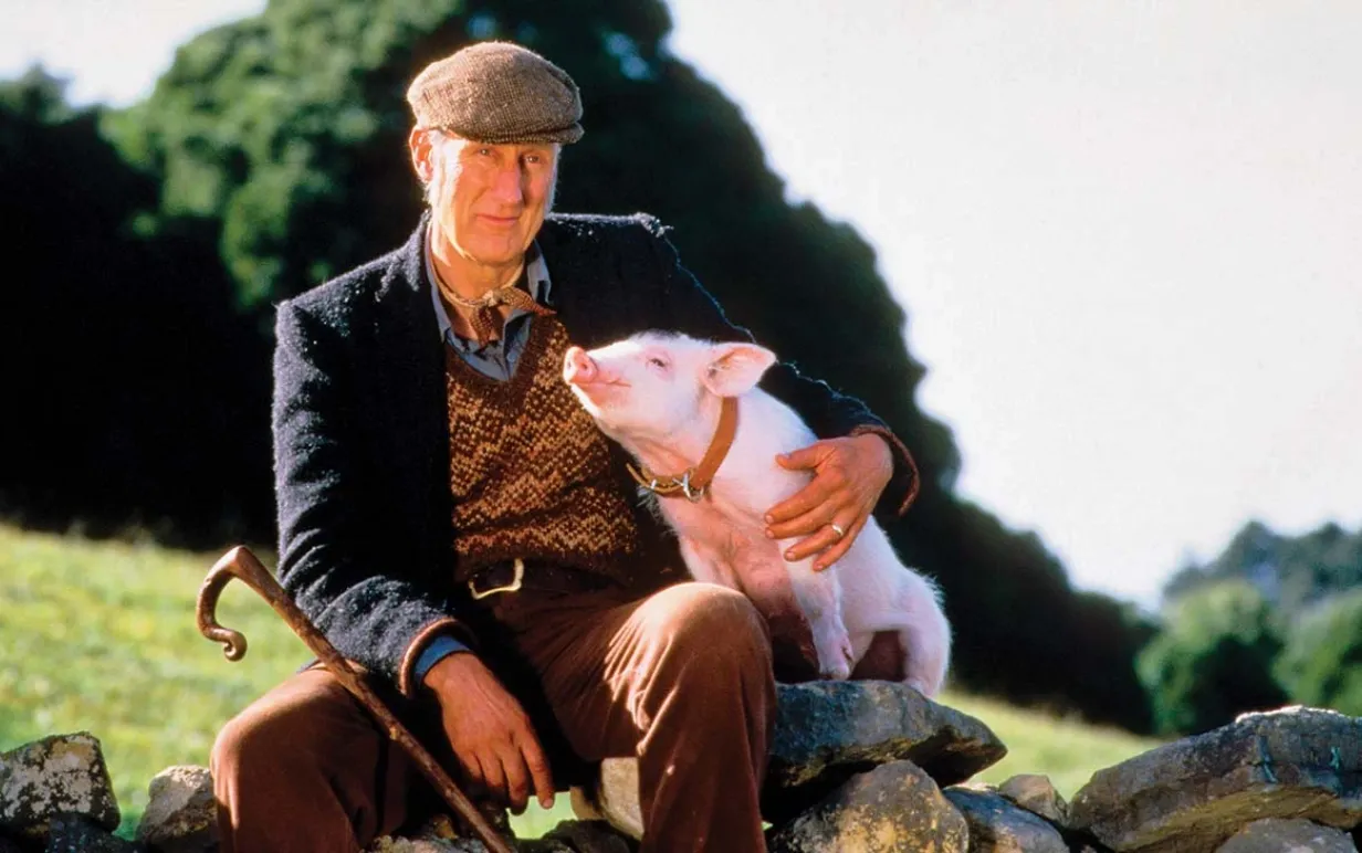 Bonde som håller om en gris ut i naturen