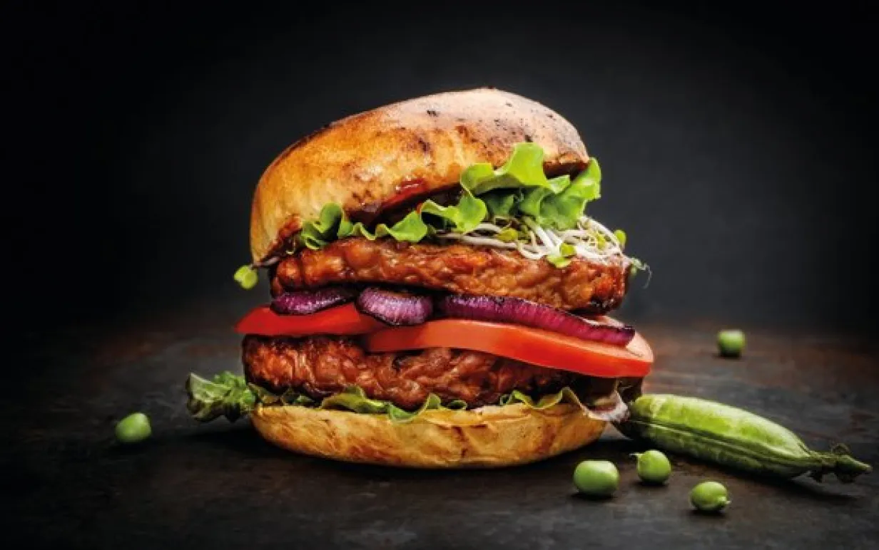 En tempehburgare mot en svart bakgrund.