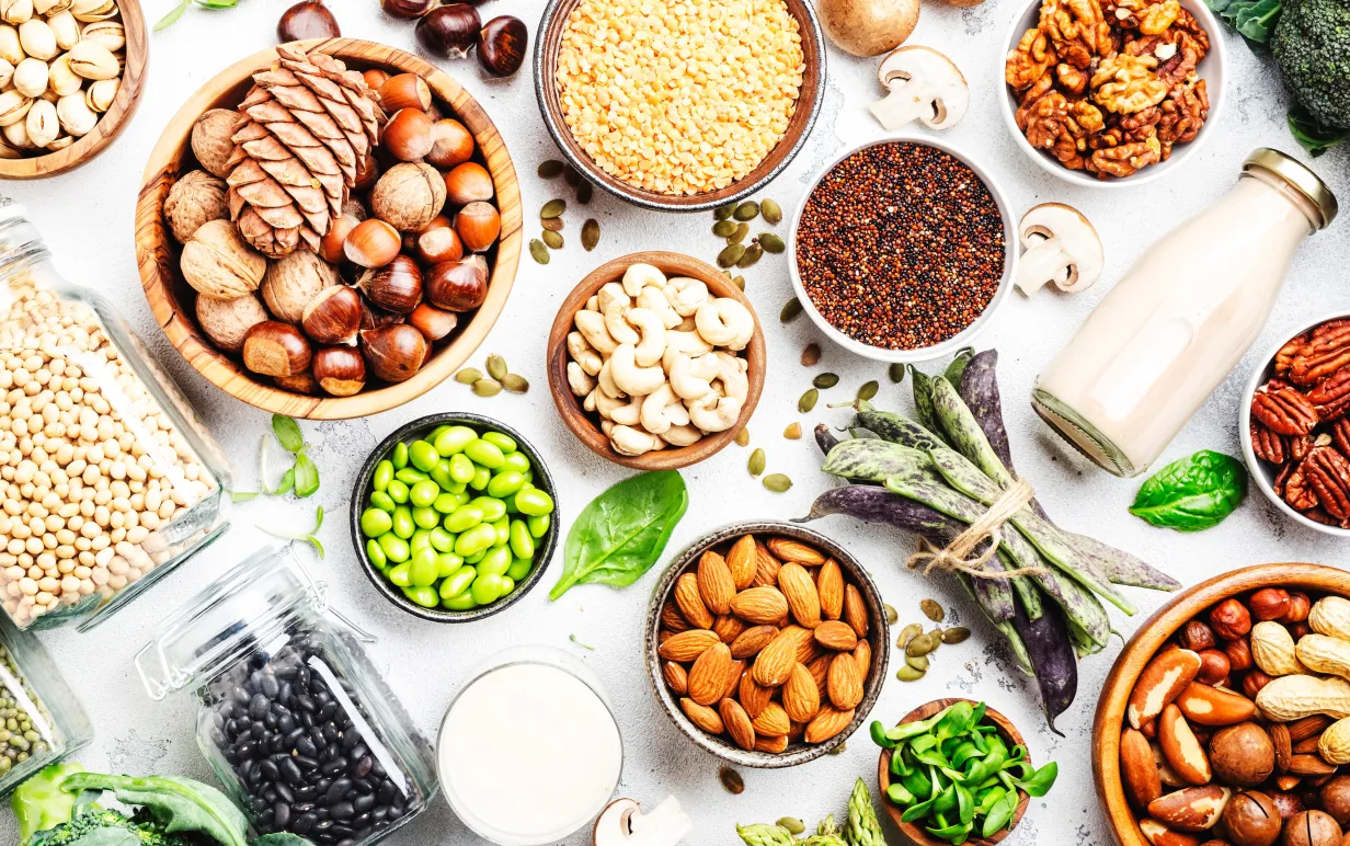 Vegan protein. Full set of plant based vegetarian food sources. Healthy eating, diet ingredients: legumes, beans, lentils, nuts, soy and almond milk, tofu, quinoa, chia, vegetables, spinach, seeds