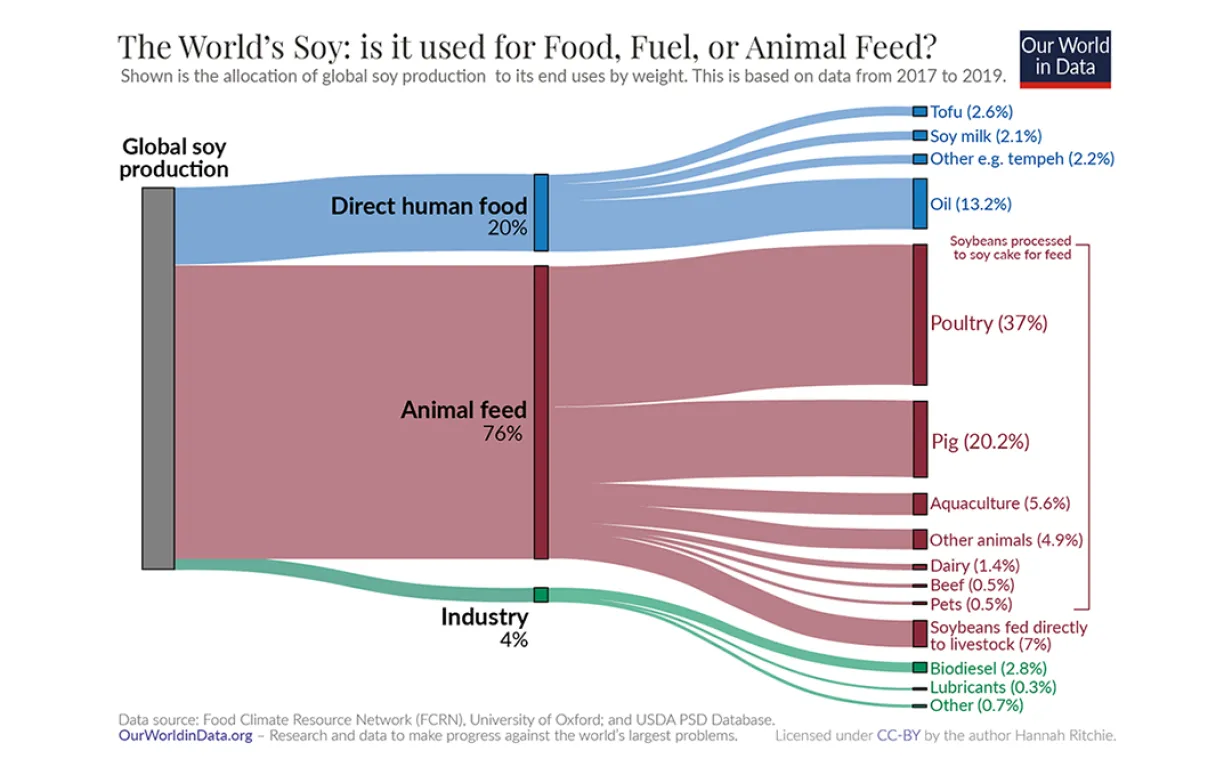 Figur som visar var världens soja tar vägen