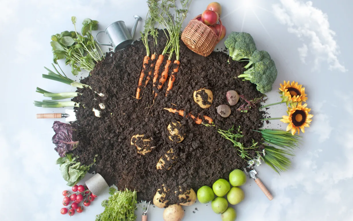 Organic fruits and vegetables growing in circular eco garden surrounded by blue sky