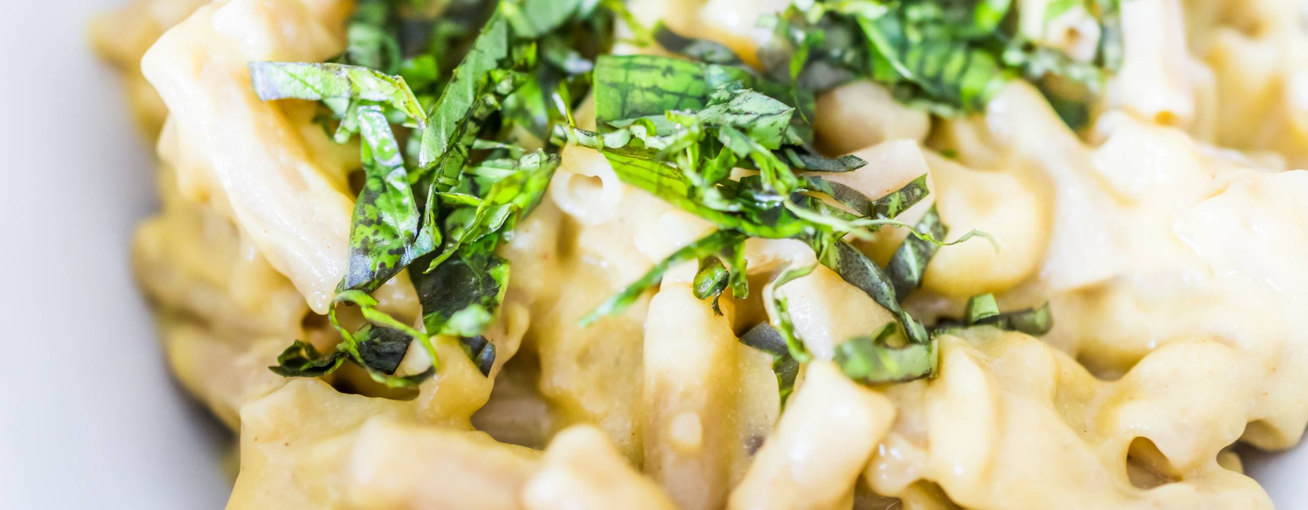 Bild på gräddig pastarätt