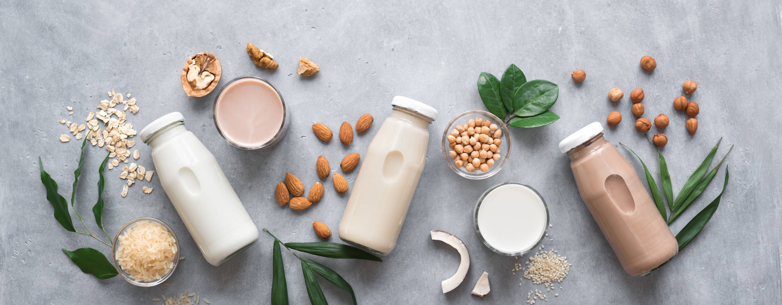 Veganska mjölkdrycker av olika spannmål, nötter och frön