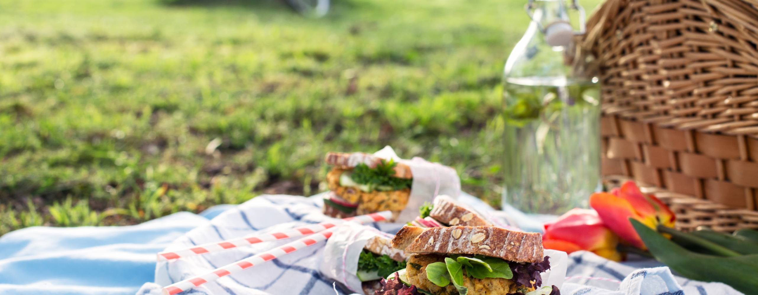 Foto: ShotnCut/Shutterstock picknick