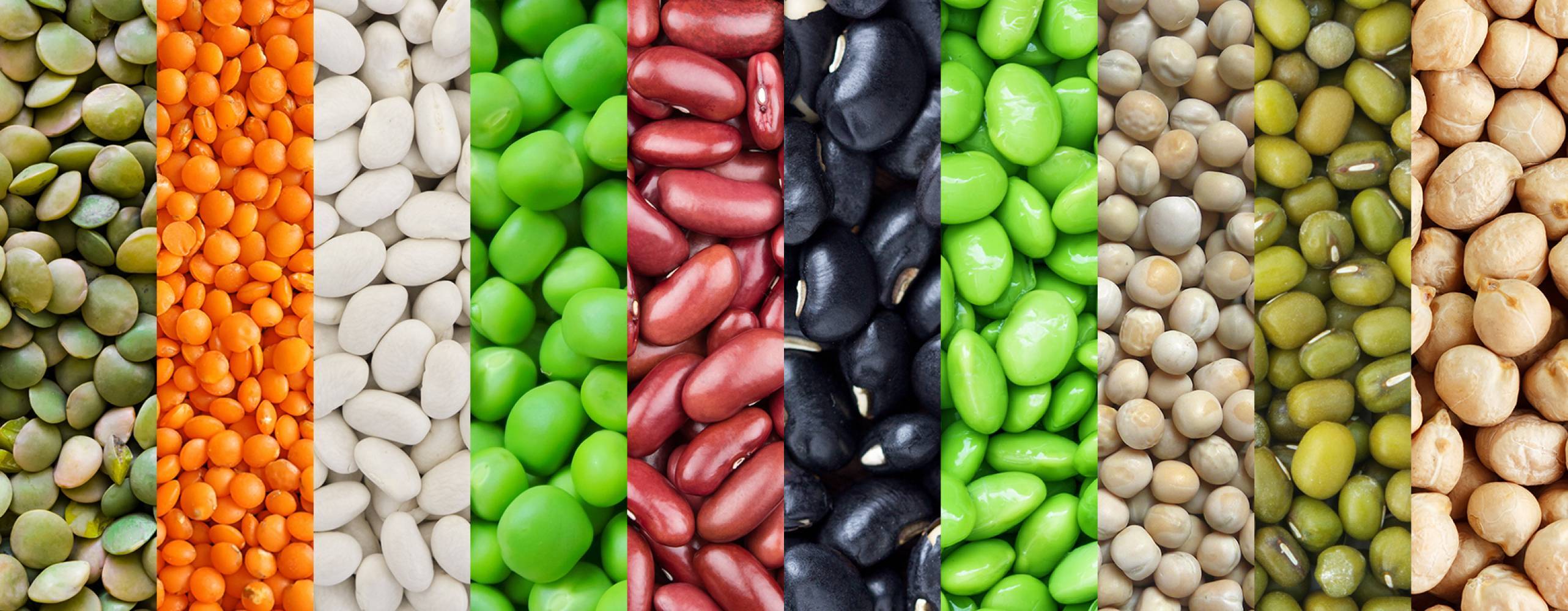 Tio olika baljväxter i remsor på rad