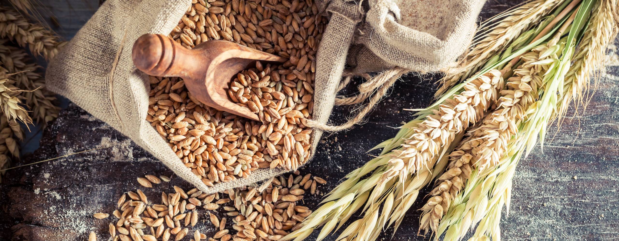 En jutesäck med fullkorn och en träskopa i mot ett mörkt bord.