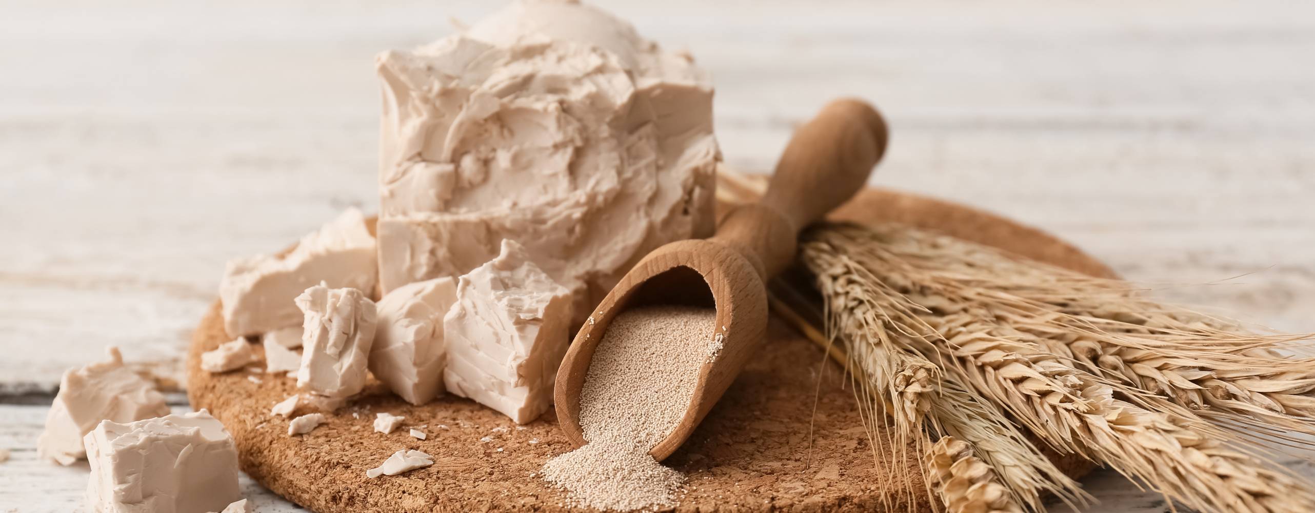 Board with fresh and dry yeast on light wooden background