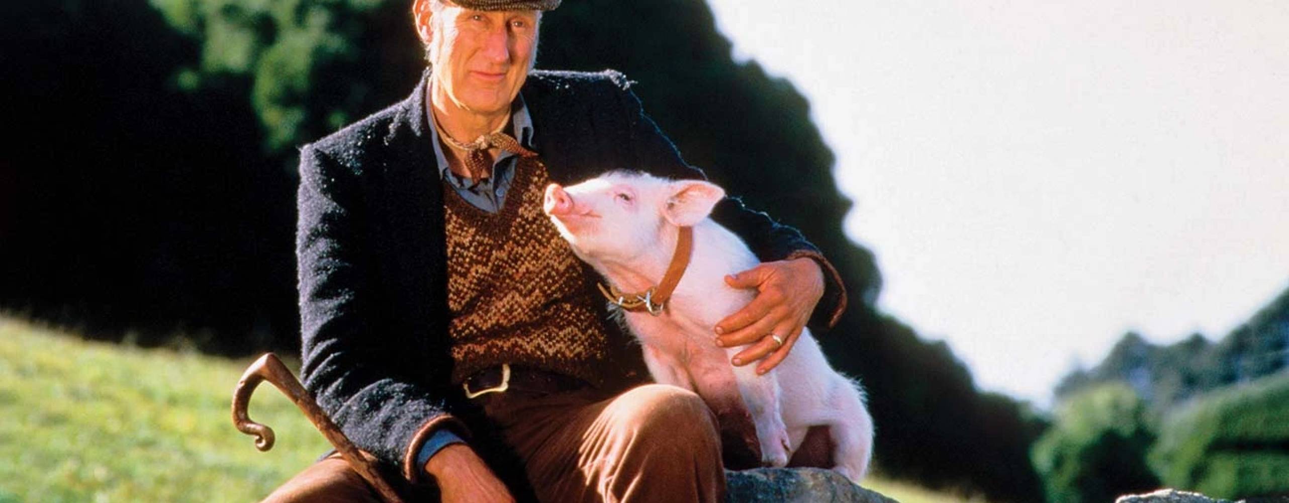 Bonde som håller om en gris ut i naturen