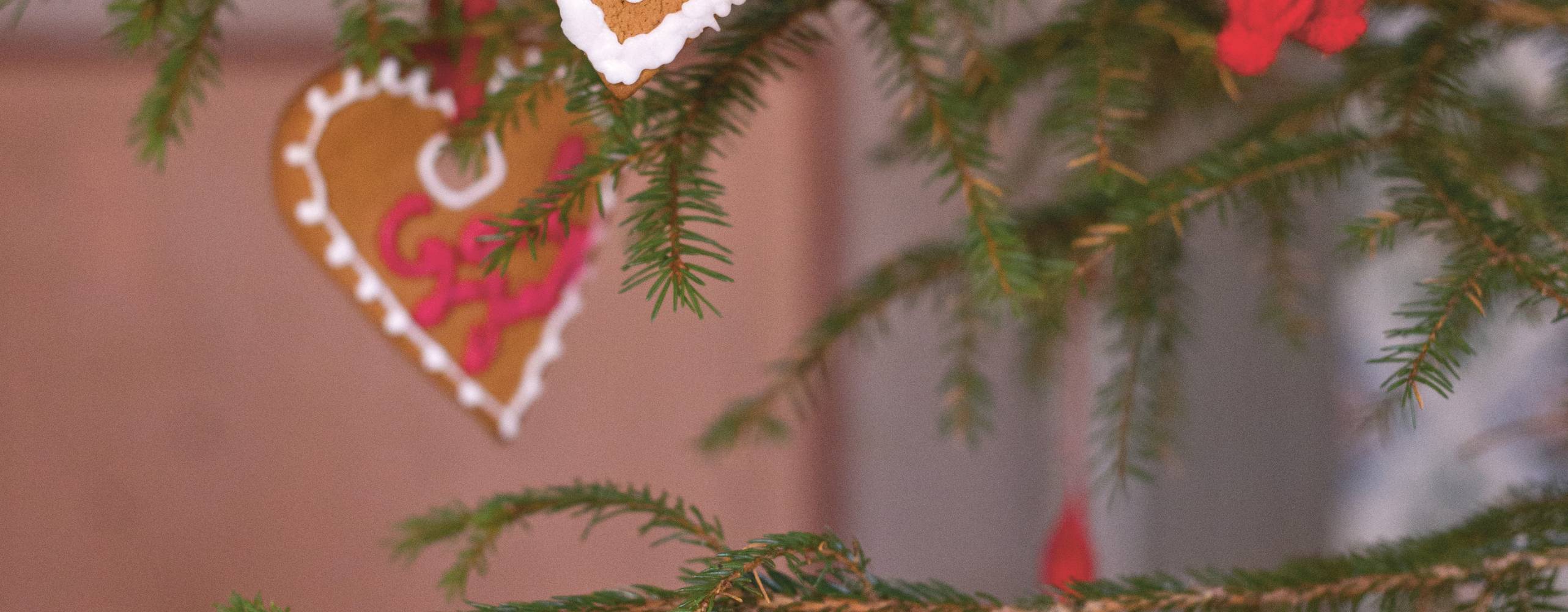 Pepparkakor med kristyr som hänger i en gran